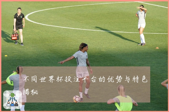 不同世界杯投注平台的优势与特色揭秘