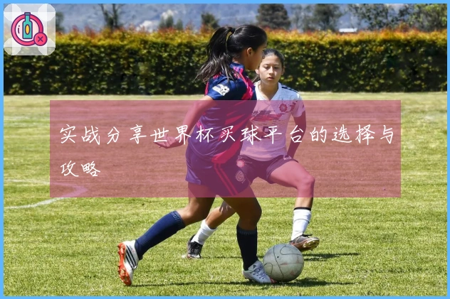 实战分享世界杯买球平台的选择与攻略