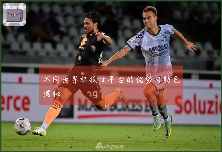 不同世界杯投注平台的优势与特色揭秘