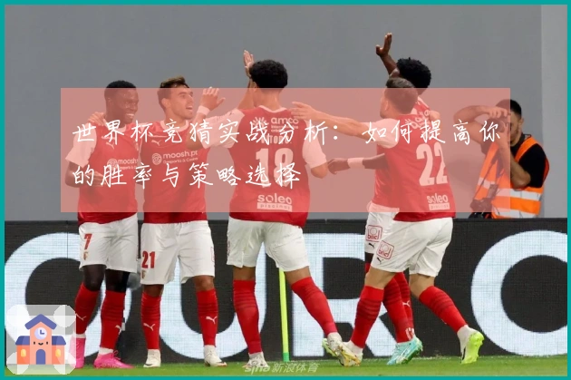 世界杯竞猜实战分析：如何提高你的胜率与策略选择
