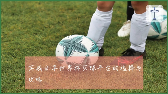 实战分享世界杯买球平台的选择与攻略