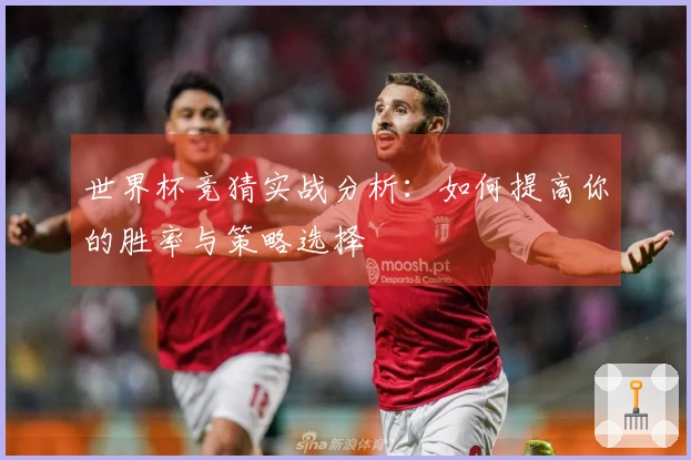 世界杯竞猜实战分析：如何提高你的胜率与策略选择